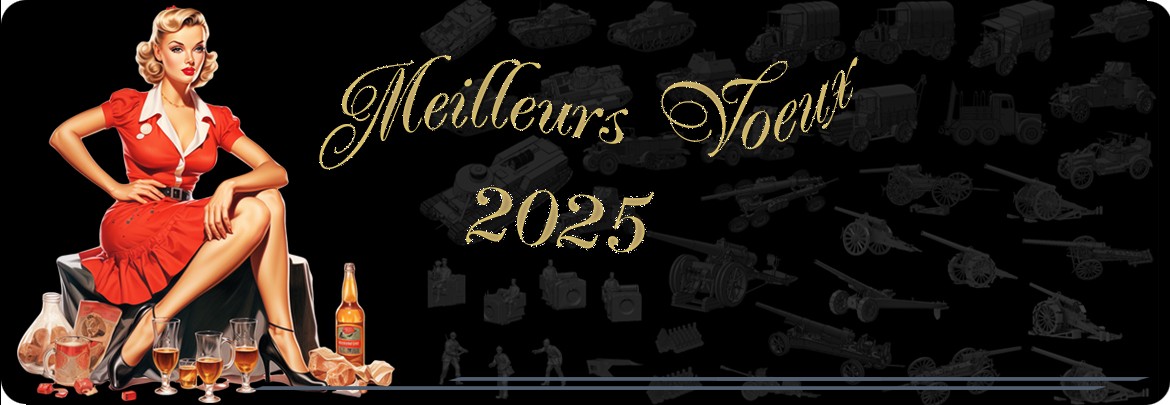 Meilleurs voeux 2025